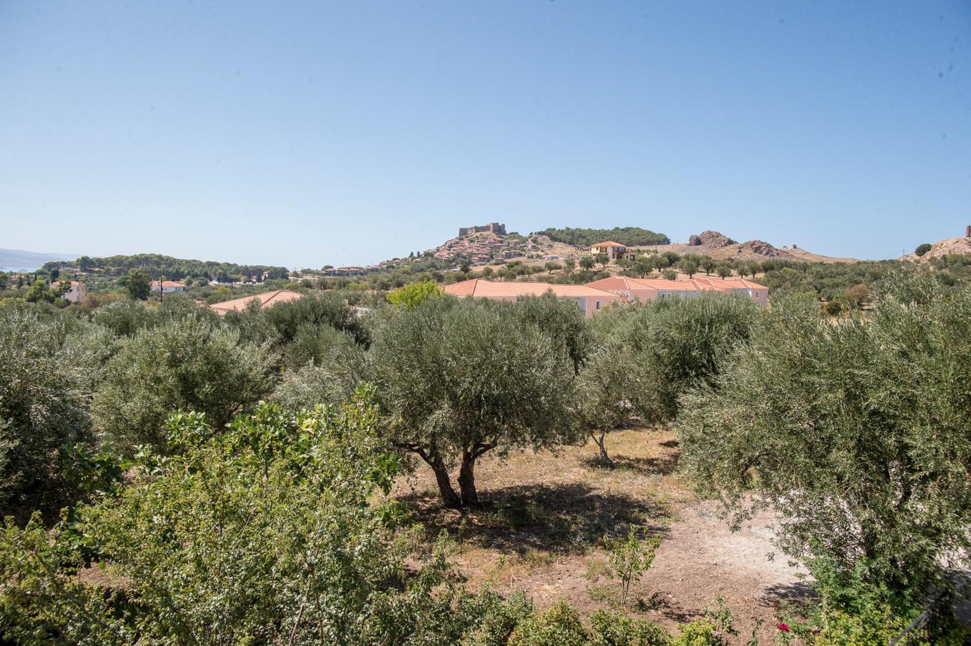 Elea Houses Mithimna Bagian luar foto