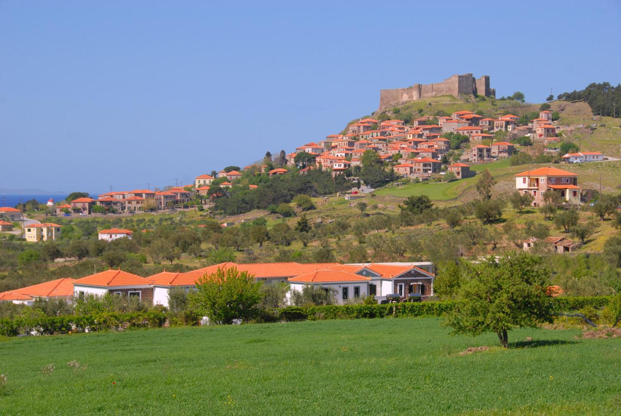 Elea Houses Mithimna Bagian luar foto