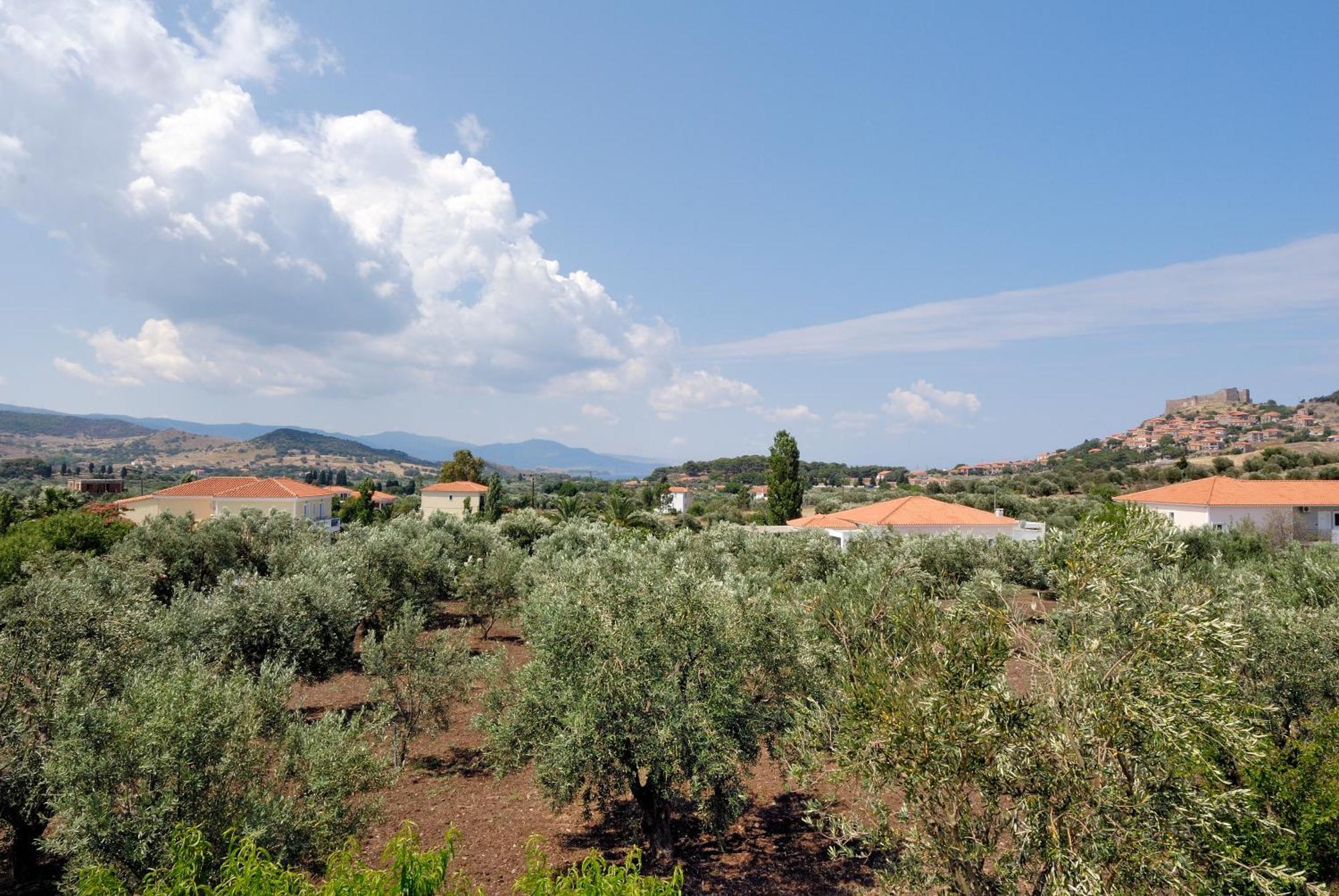 Elea Houses Mithimna Bagian luar foto